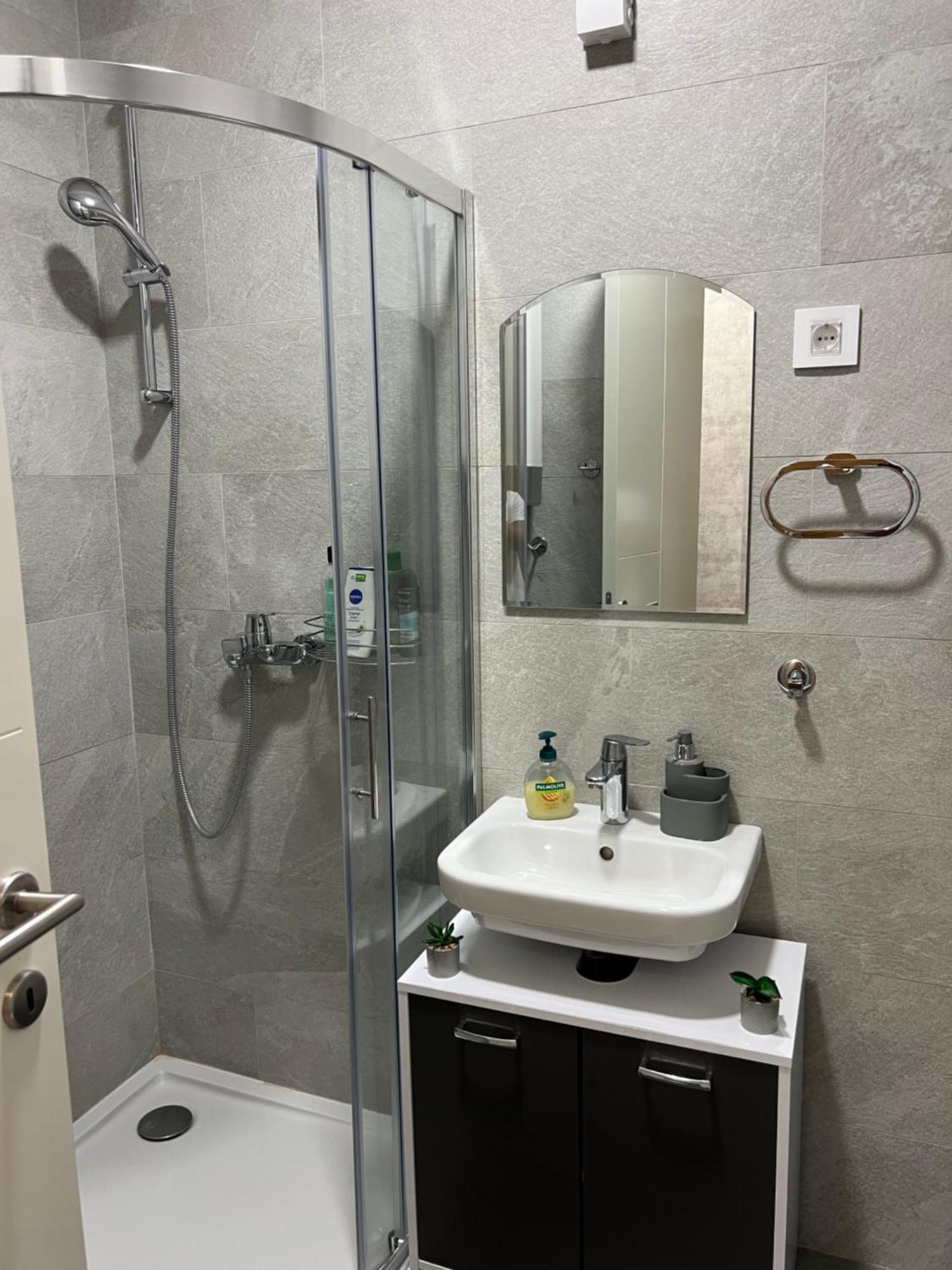Helena Apartment Novi Sad Buitenkant foto